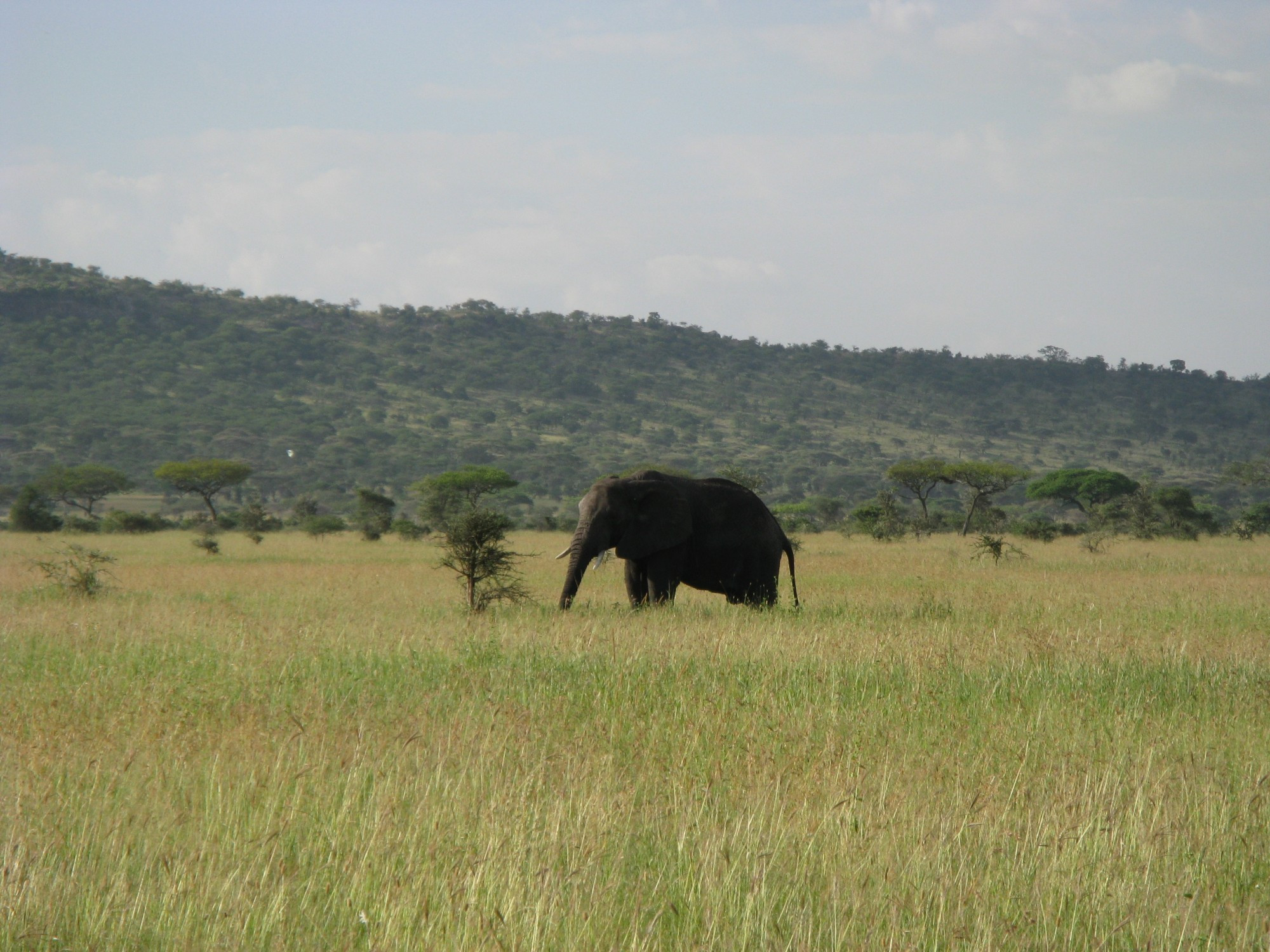 Tanzania