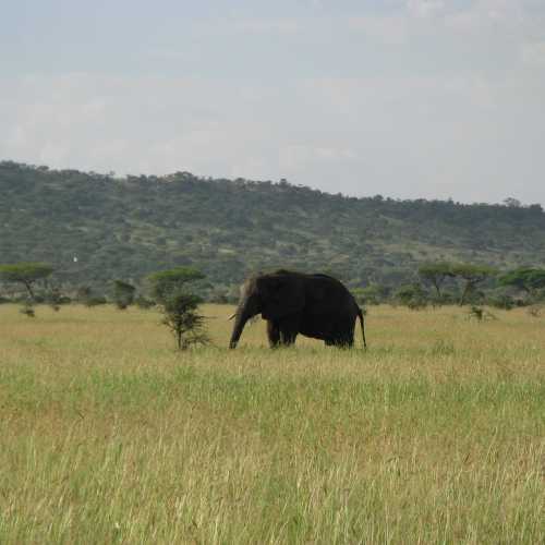 Tanzania