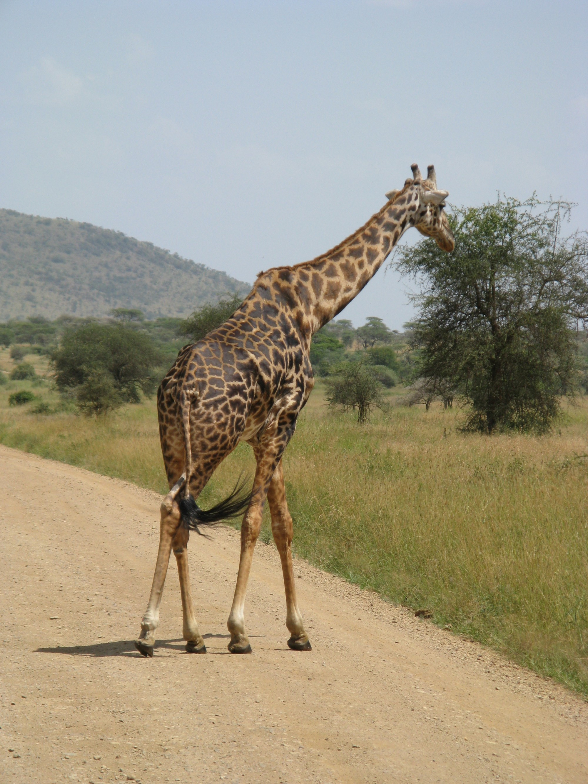 Tanzania