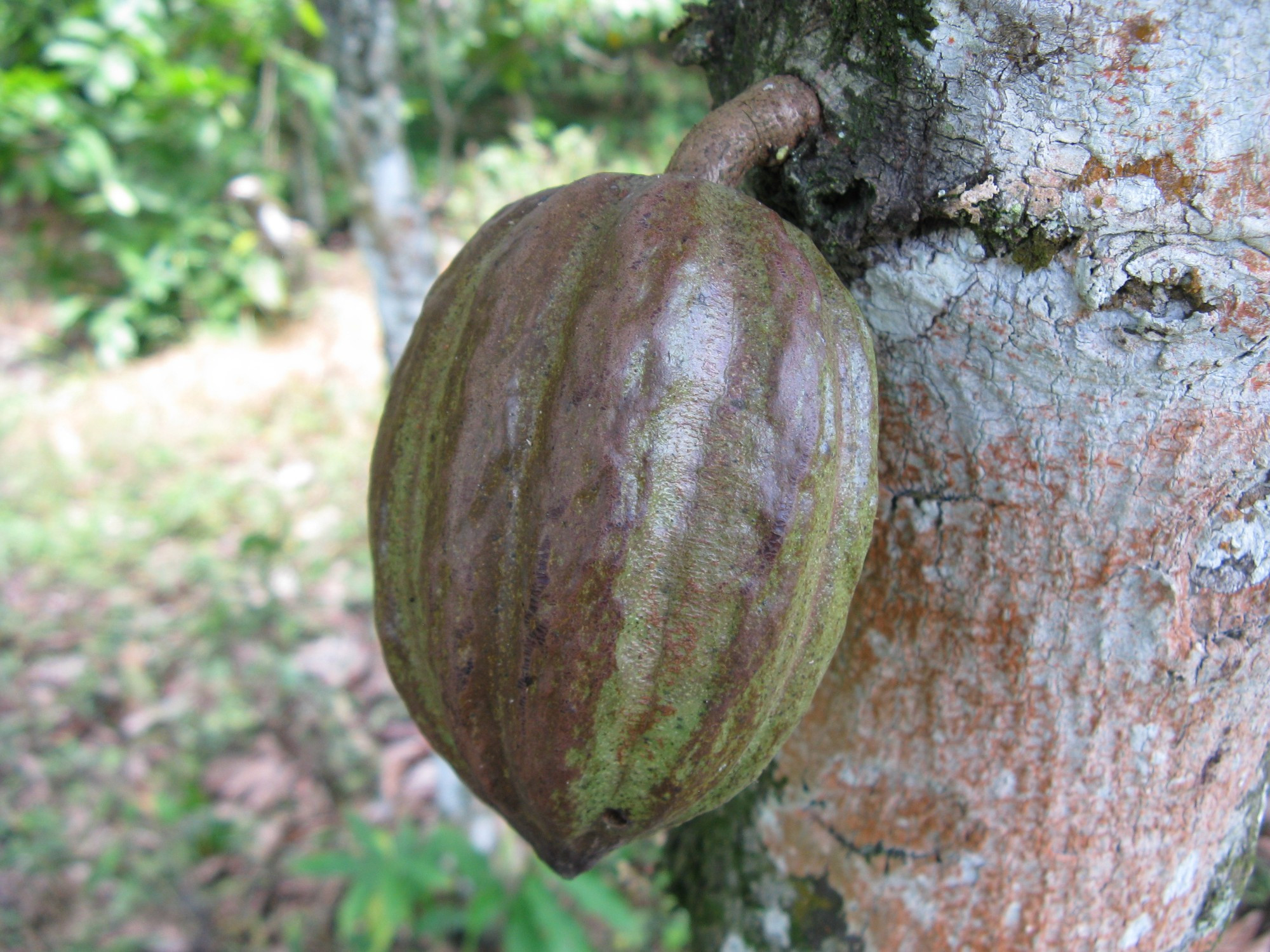 Ghana