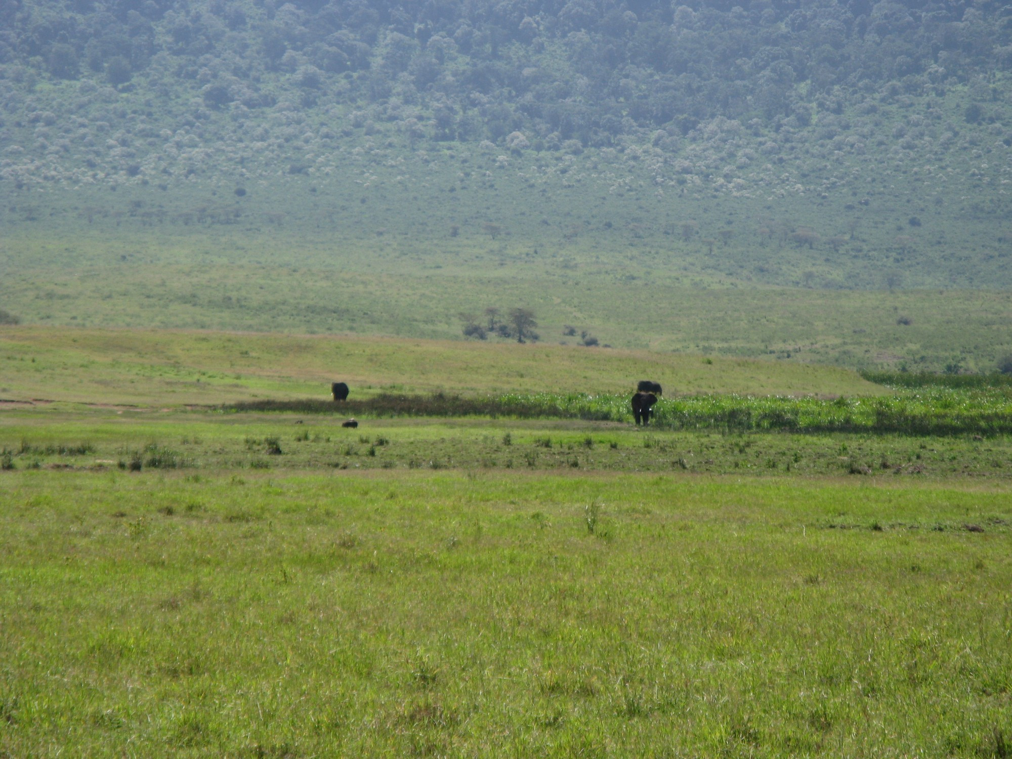 Tanzania