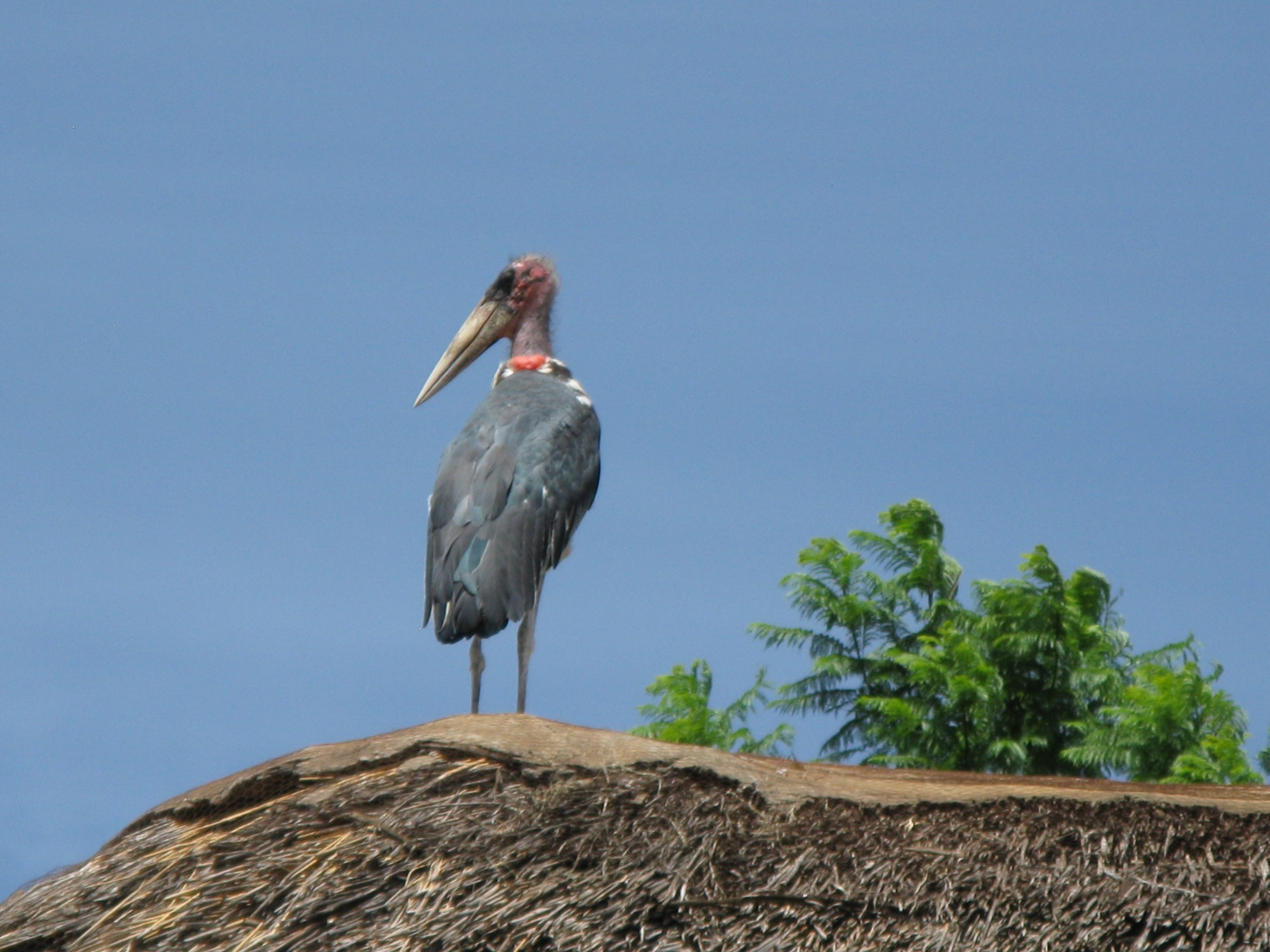 Tanzania