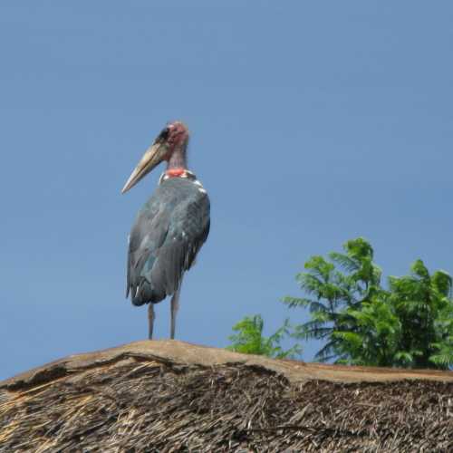 Tanzania