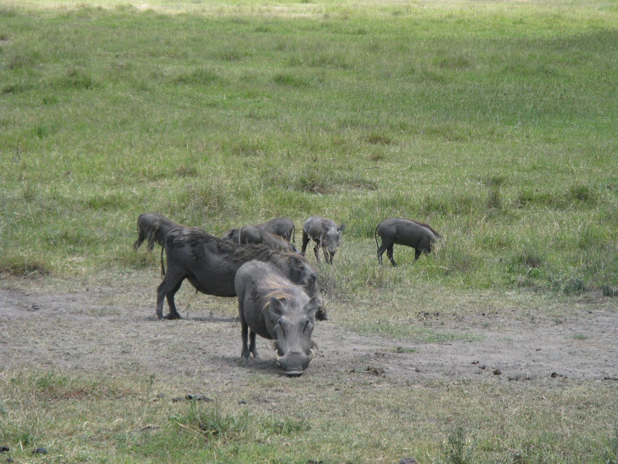 Tanzania