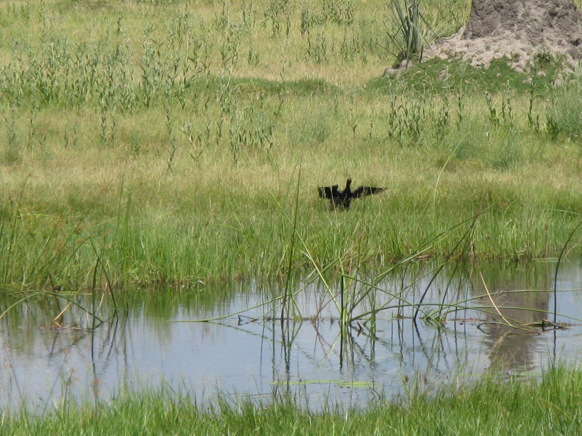 Botswana