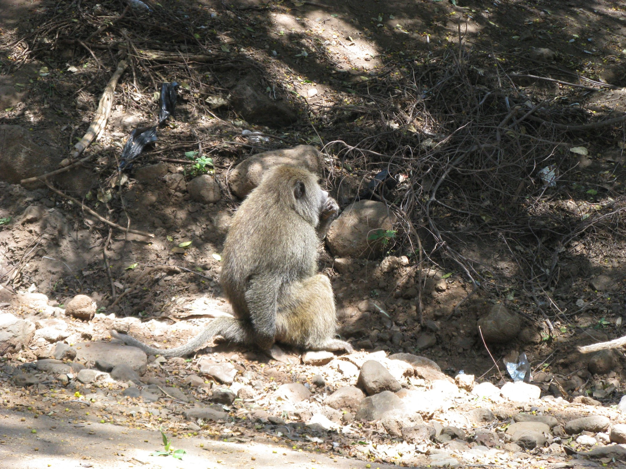 Tanzania