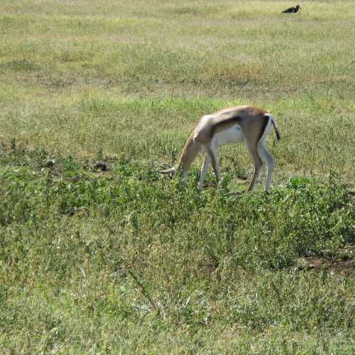 Tanzania