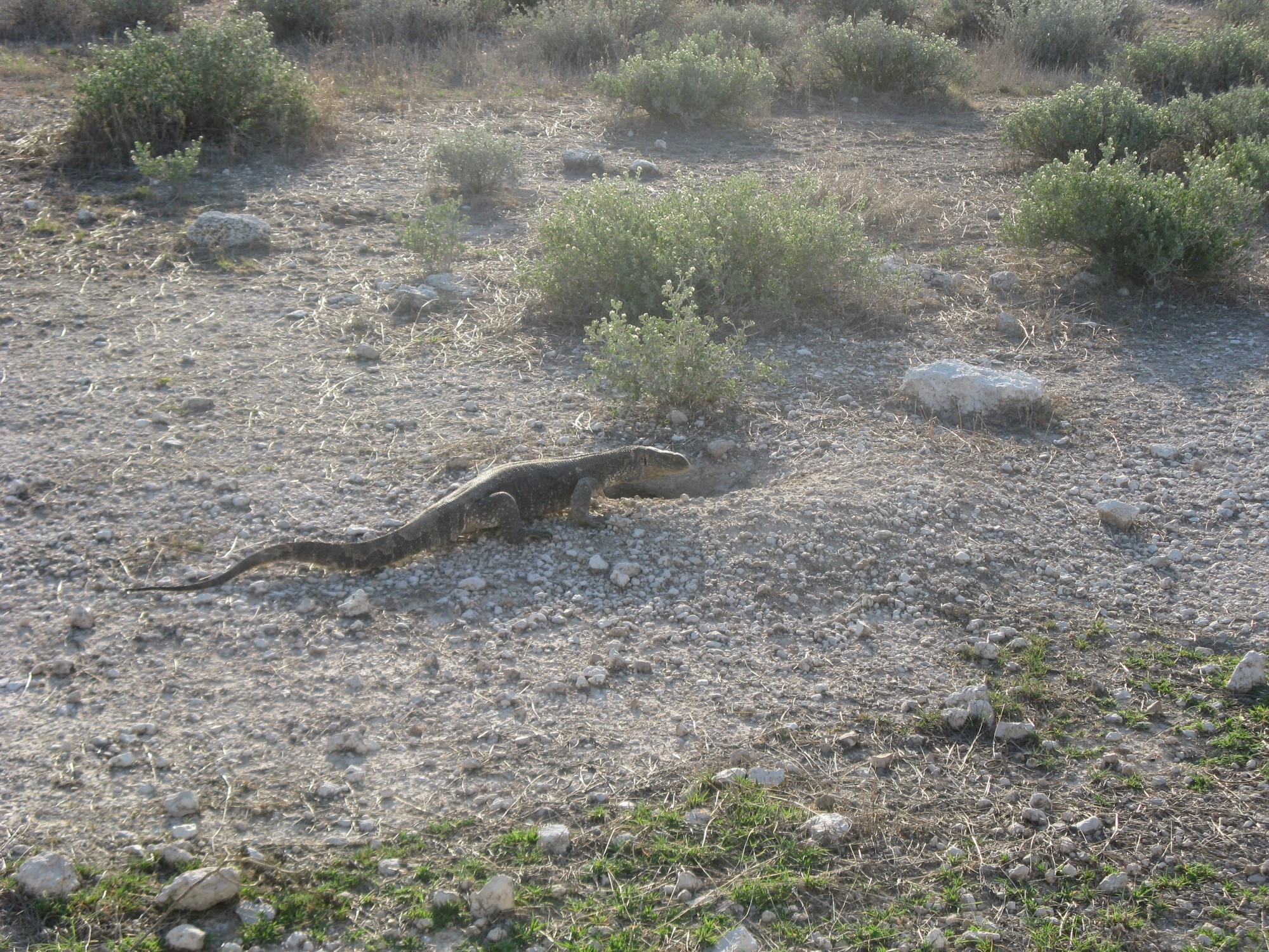 Namibia