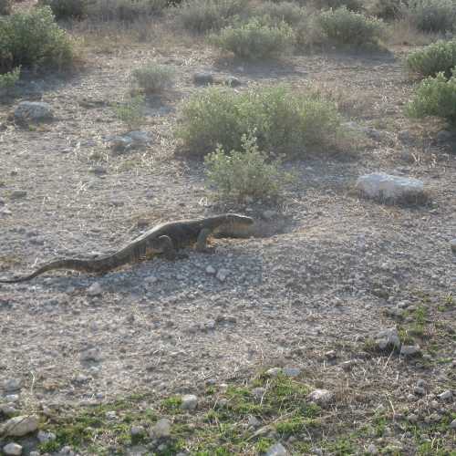 Namibia