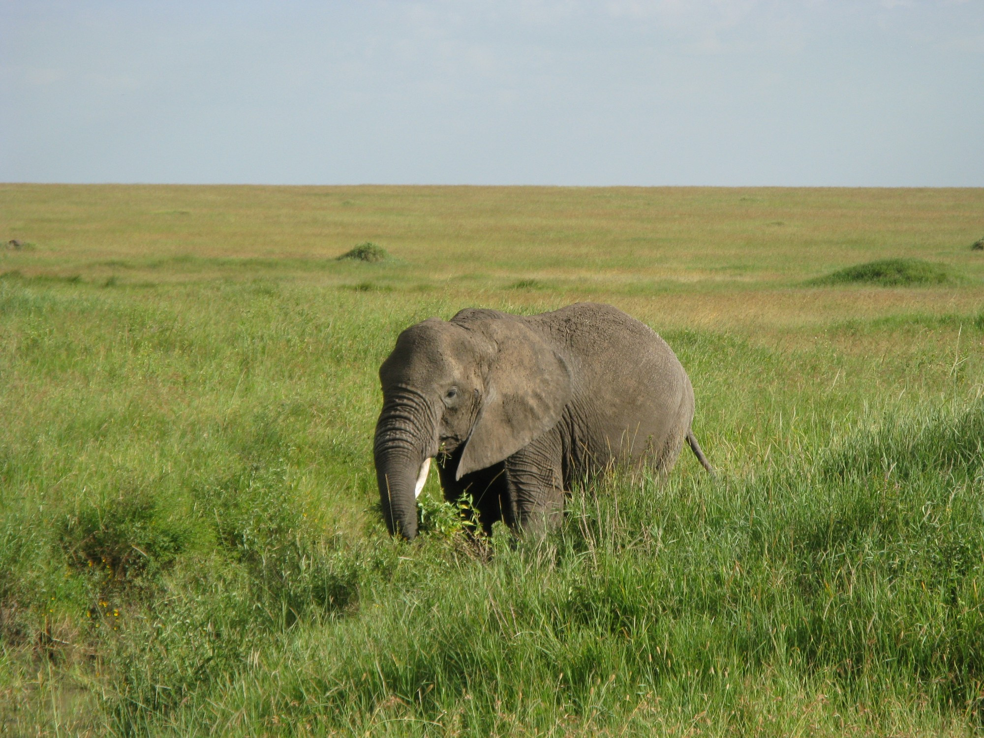 Tanzania