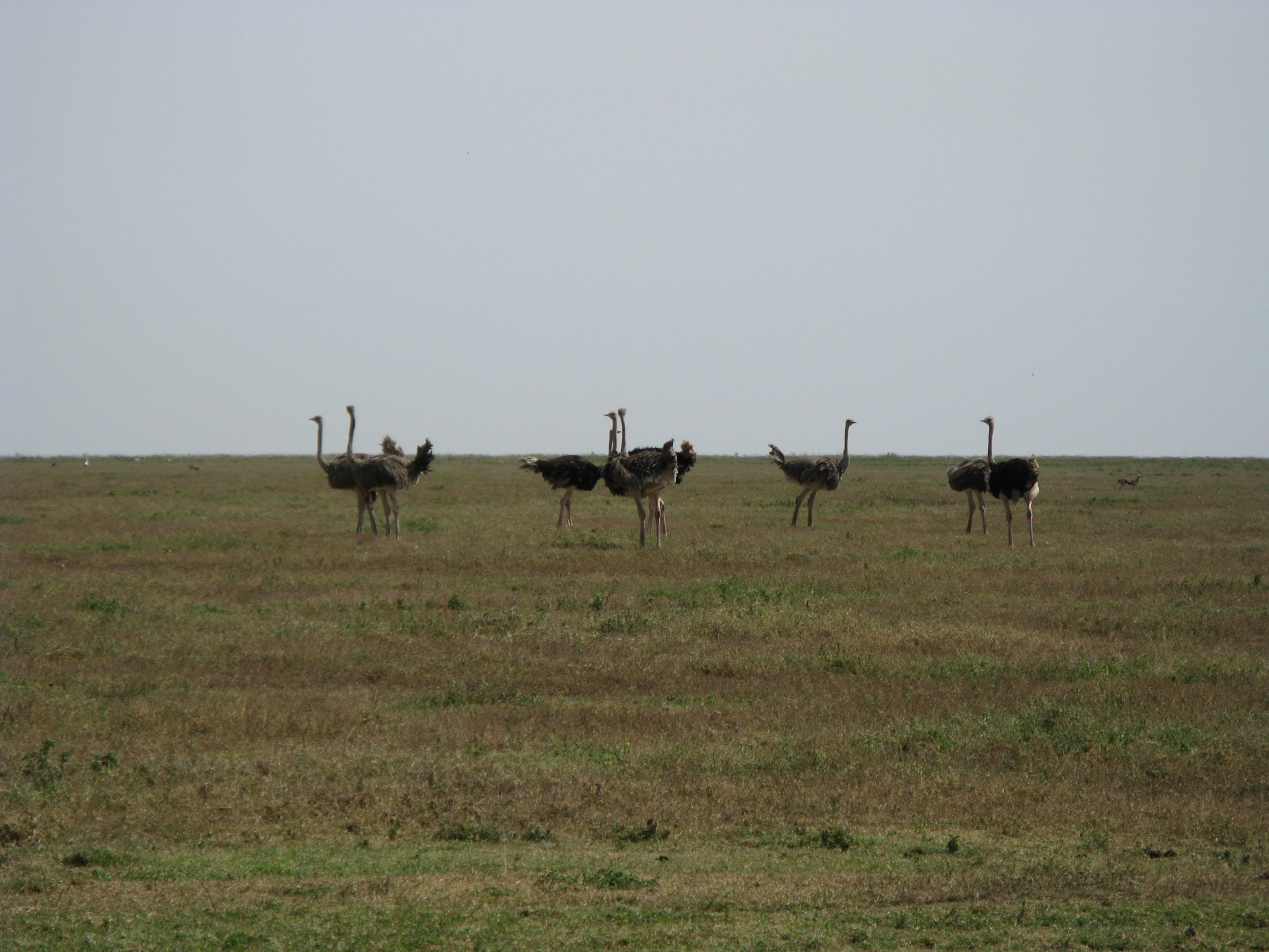 Tanzania