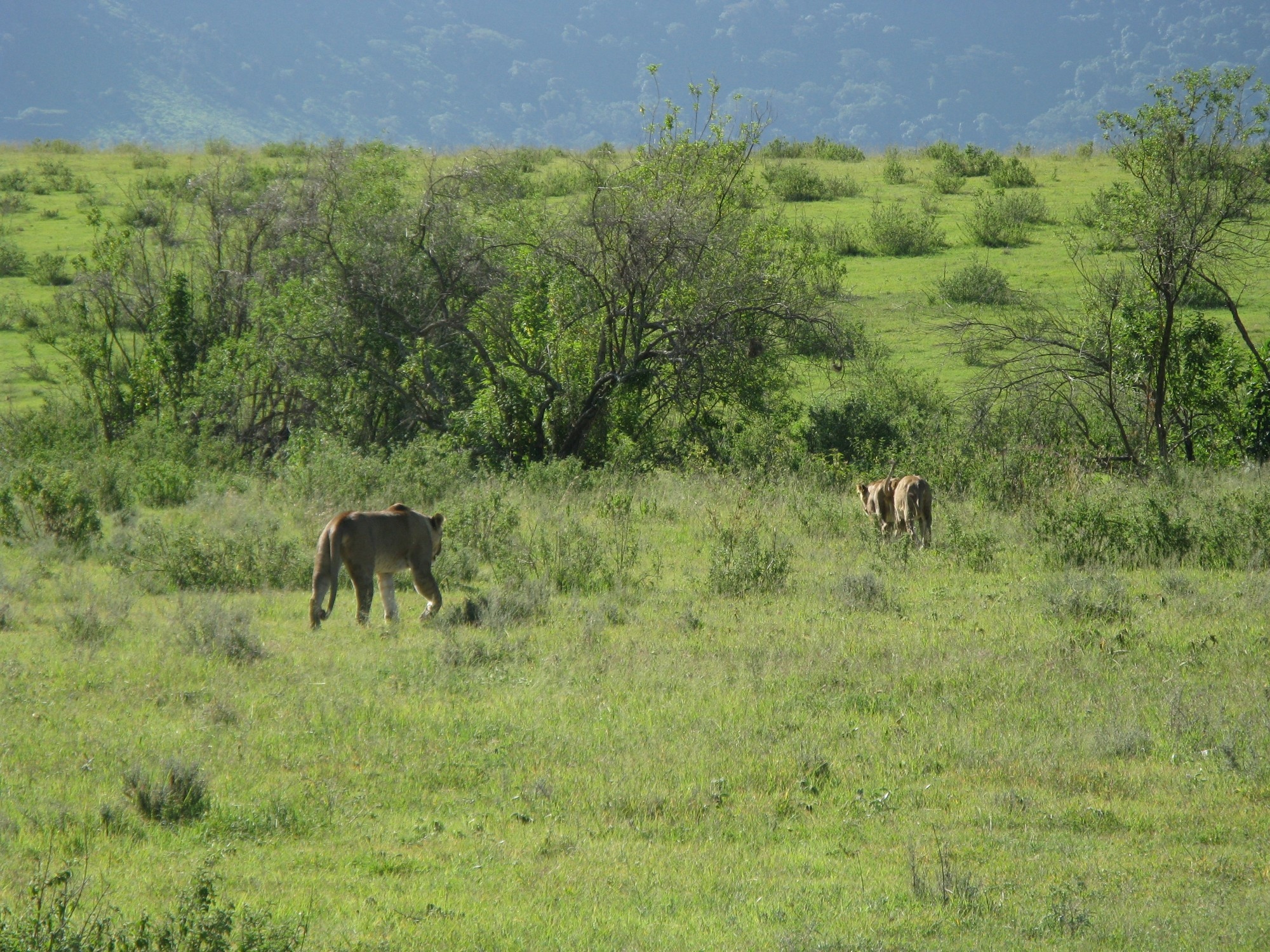 Tanzania