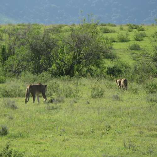 Tanzania