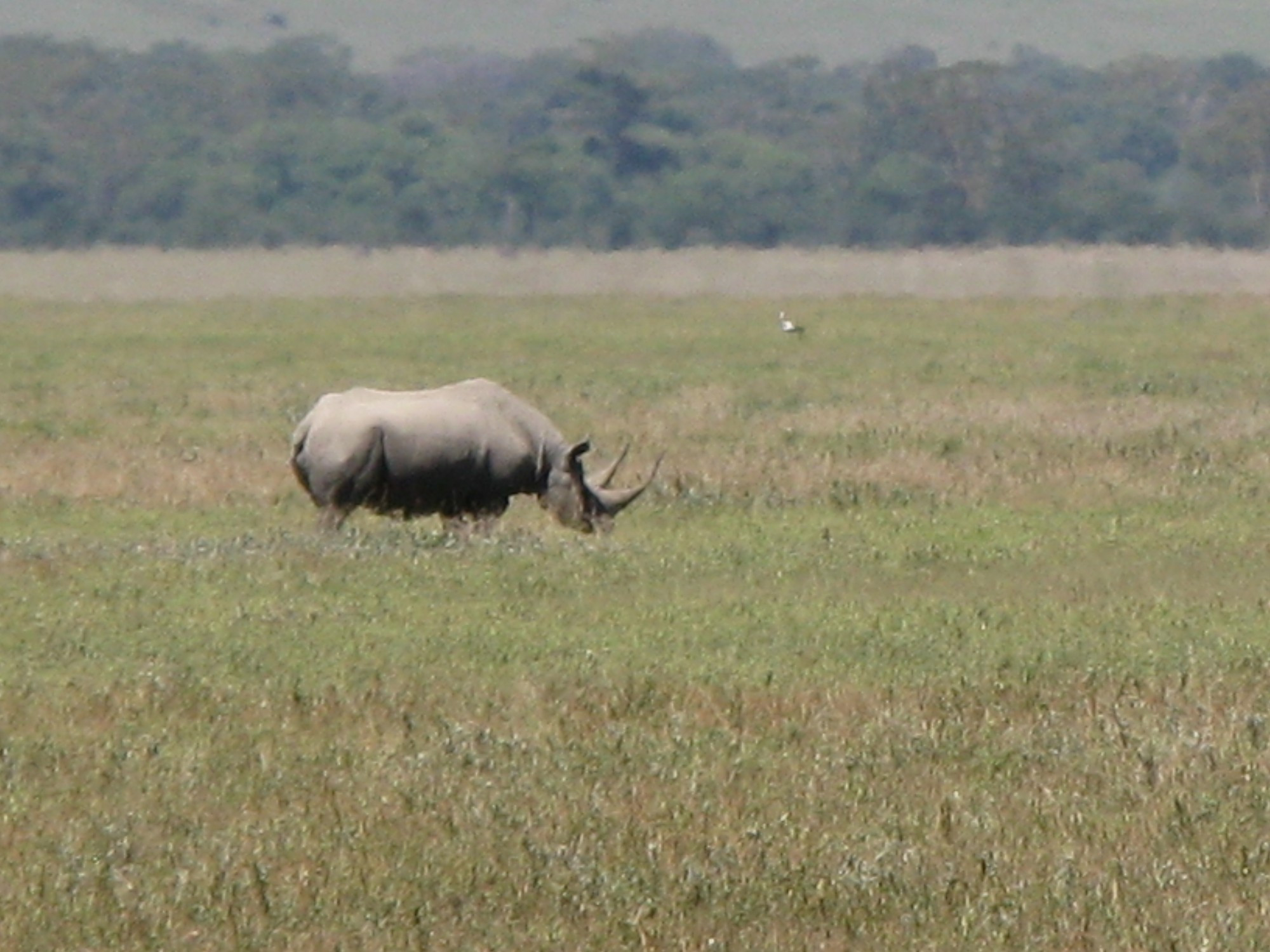 Tanzania