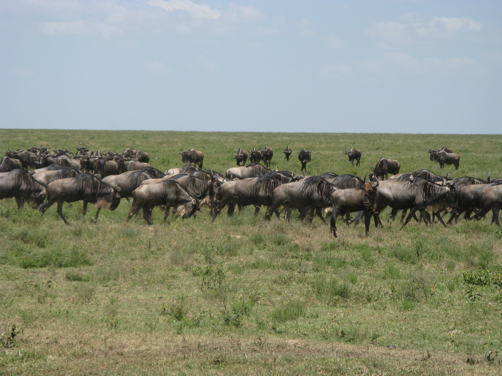 Tanzania