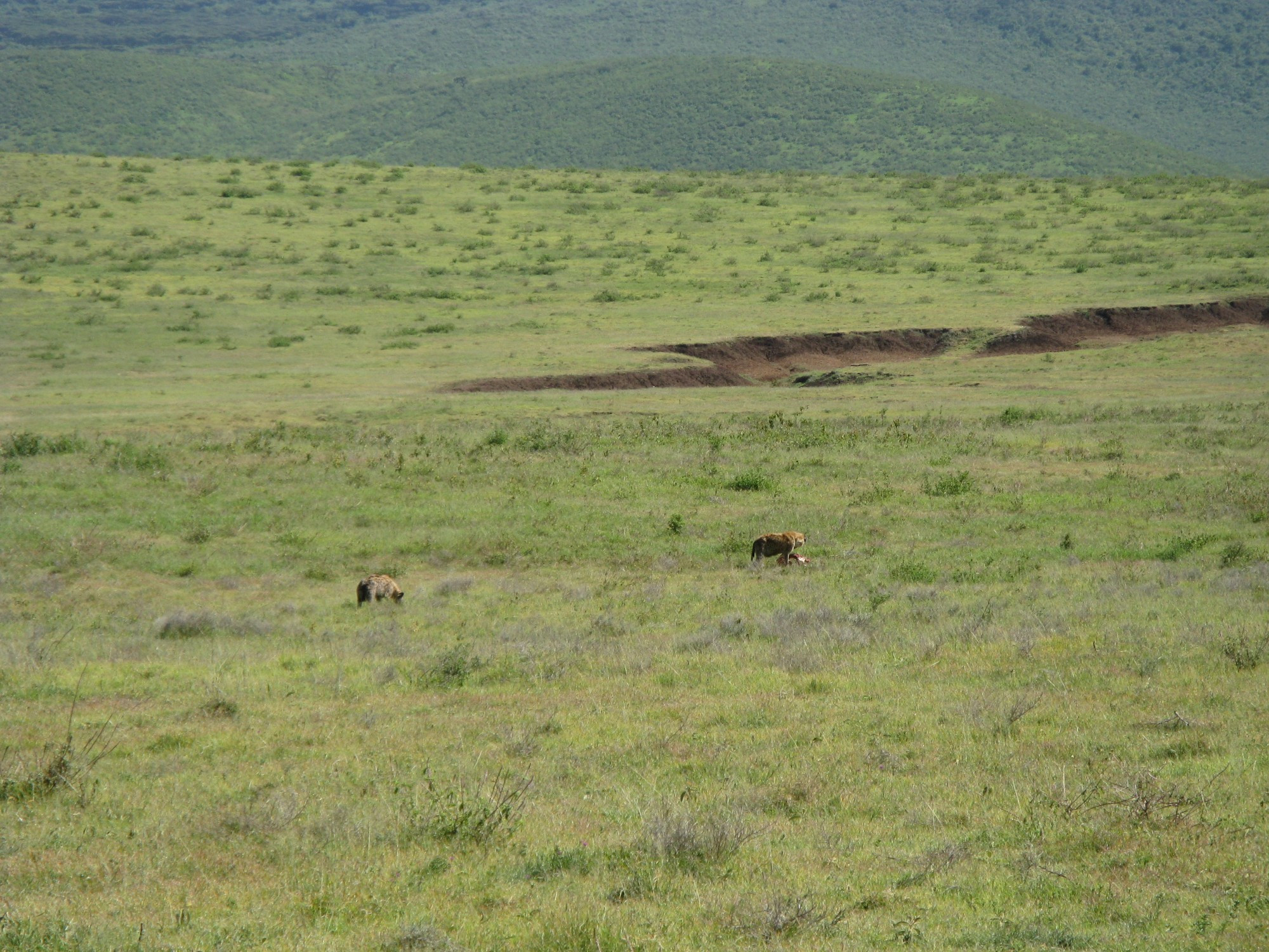 Tanzania