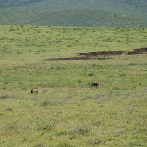 Tanzania