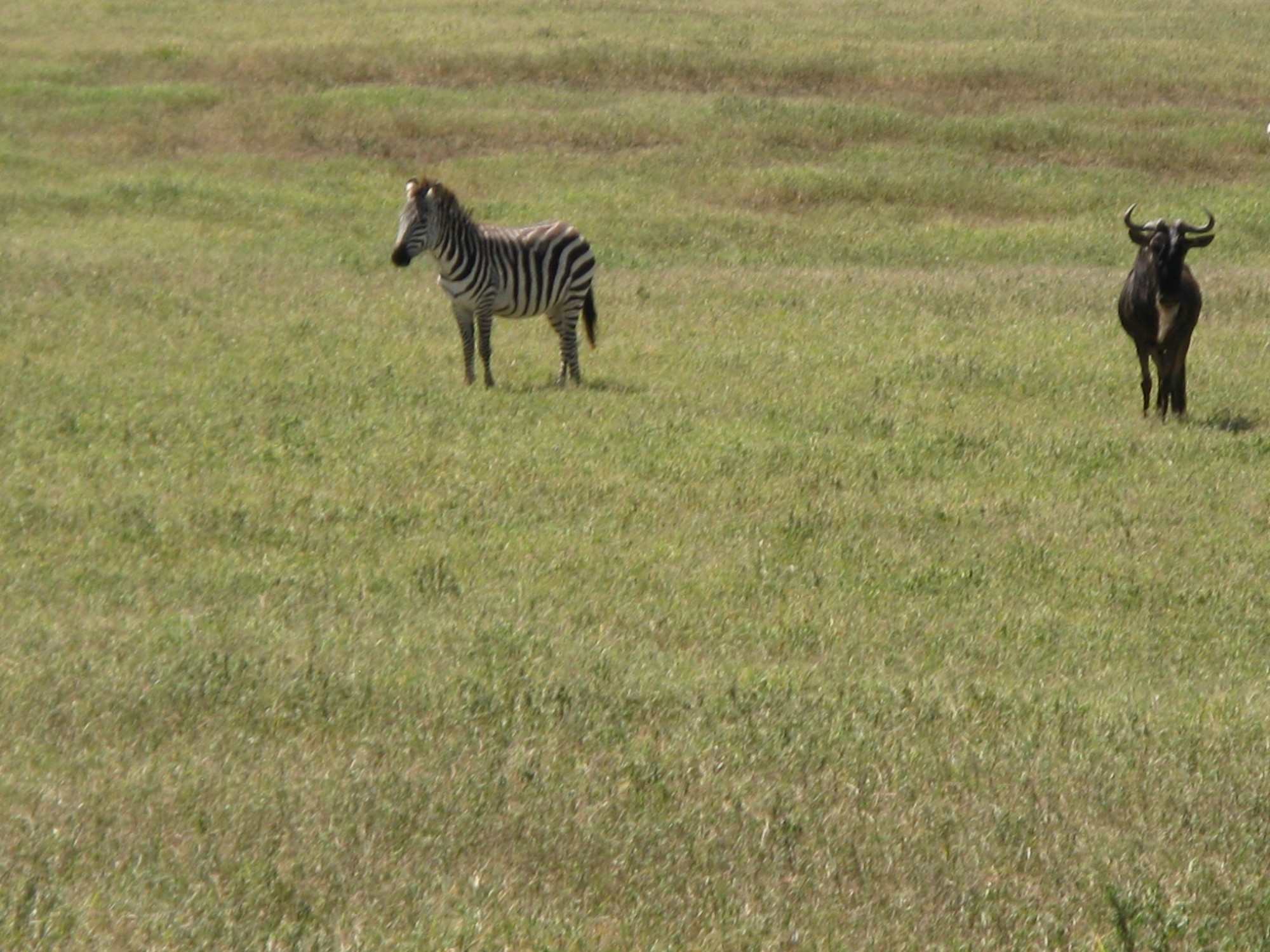 Tanzania