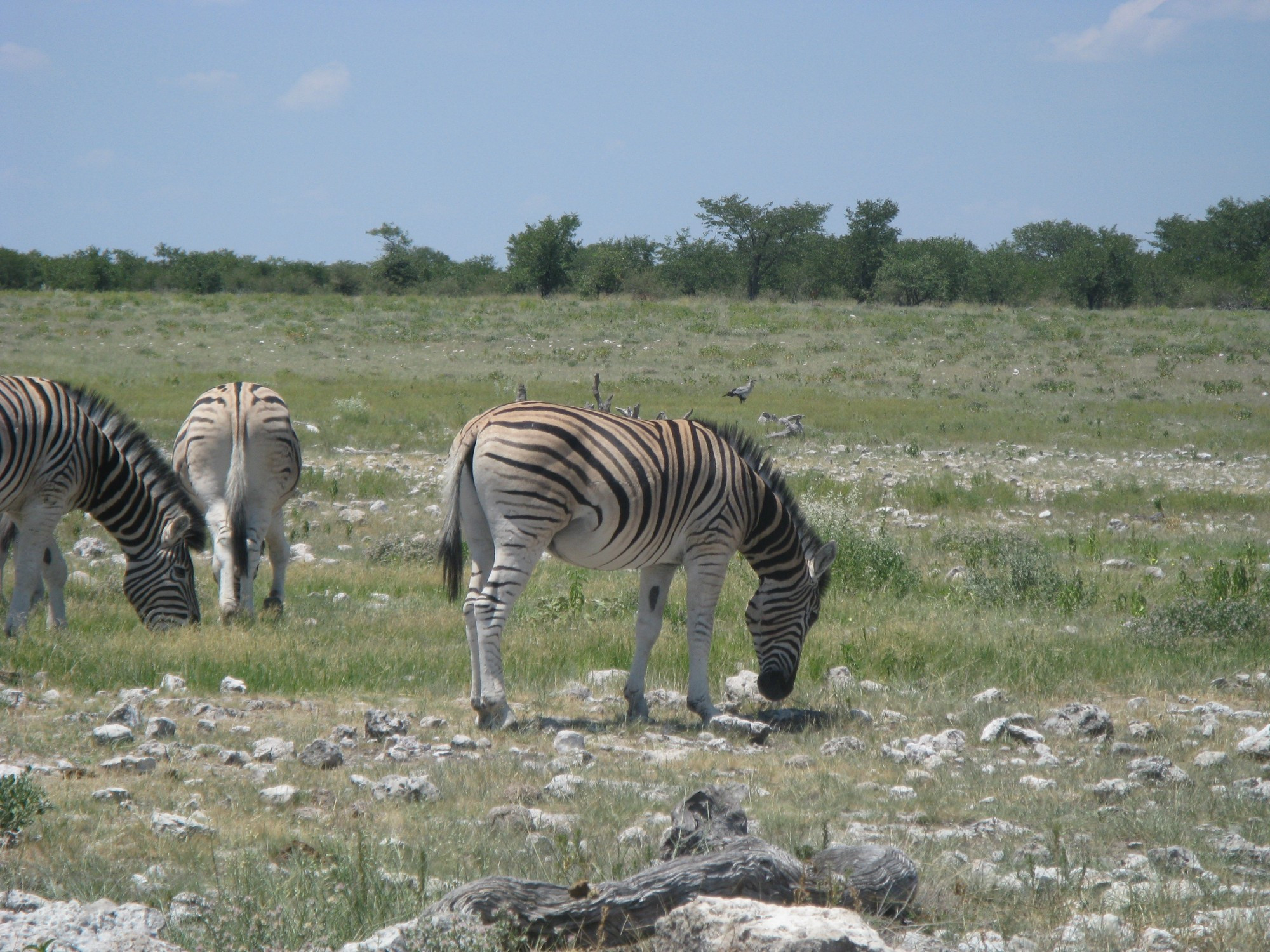 Namibia