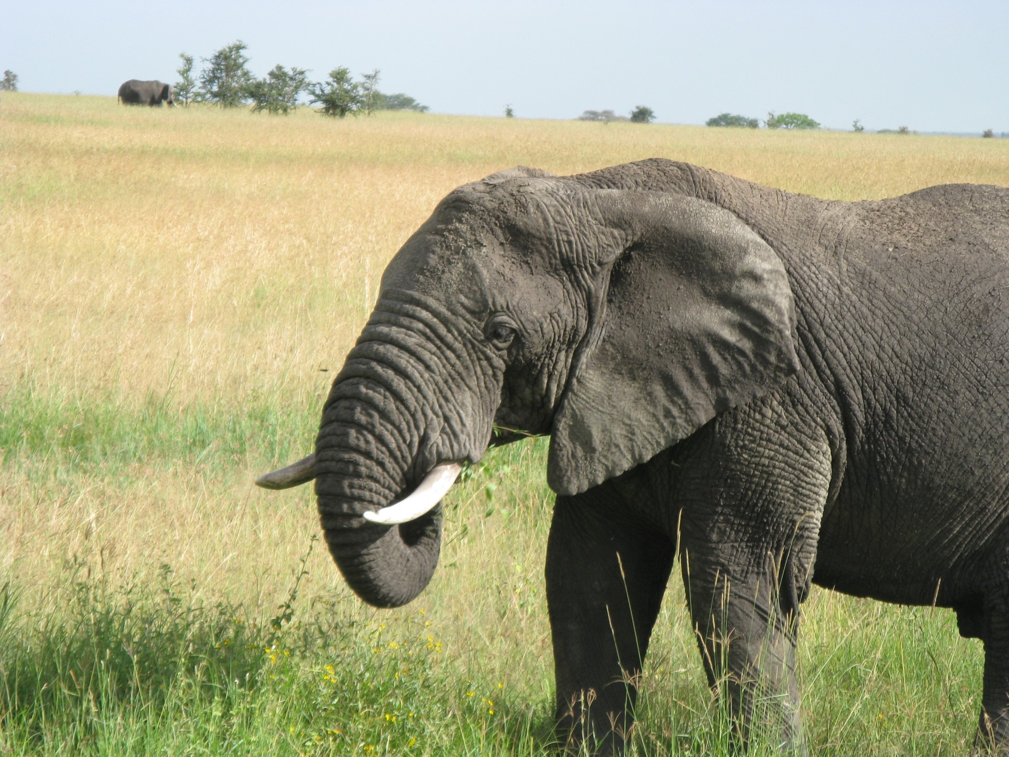 Tanzania