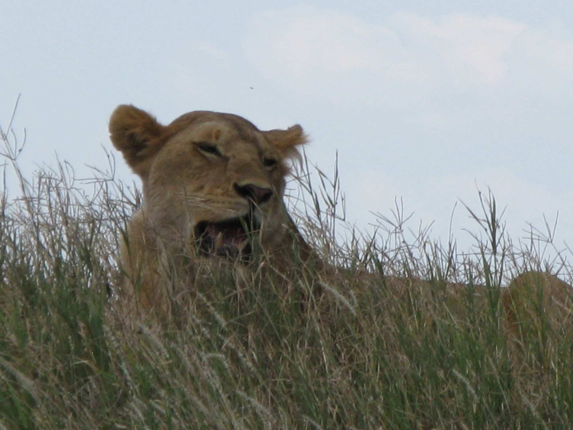 Tanzania