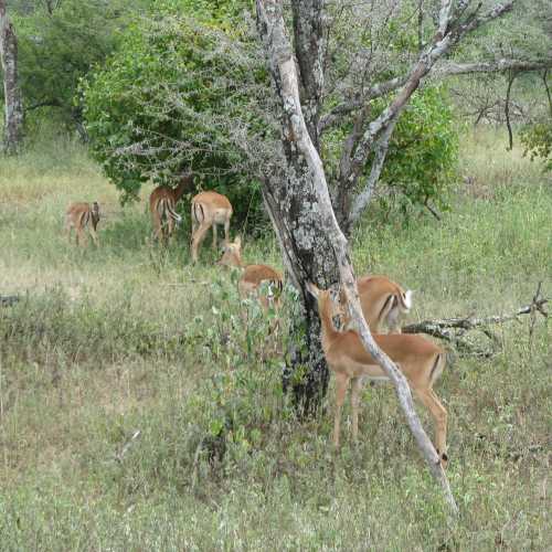 Tanzania