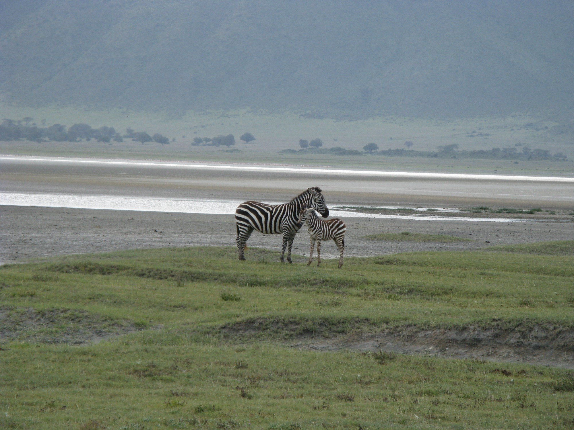 Tanzania