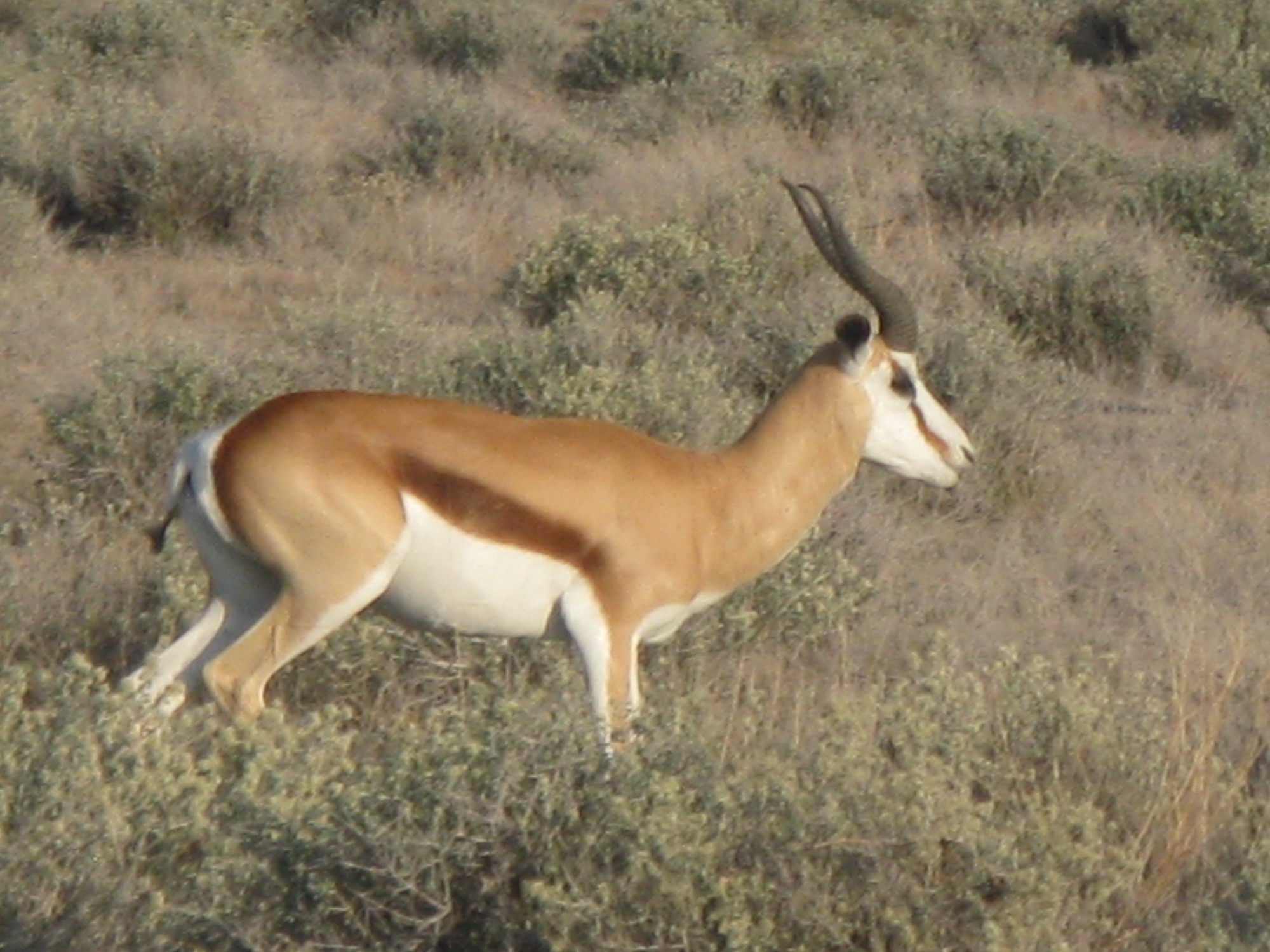 Namibia