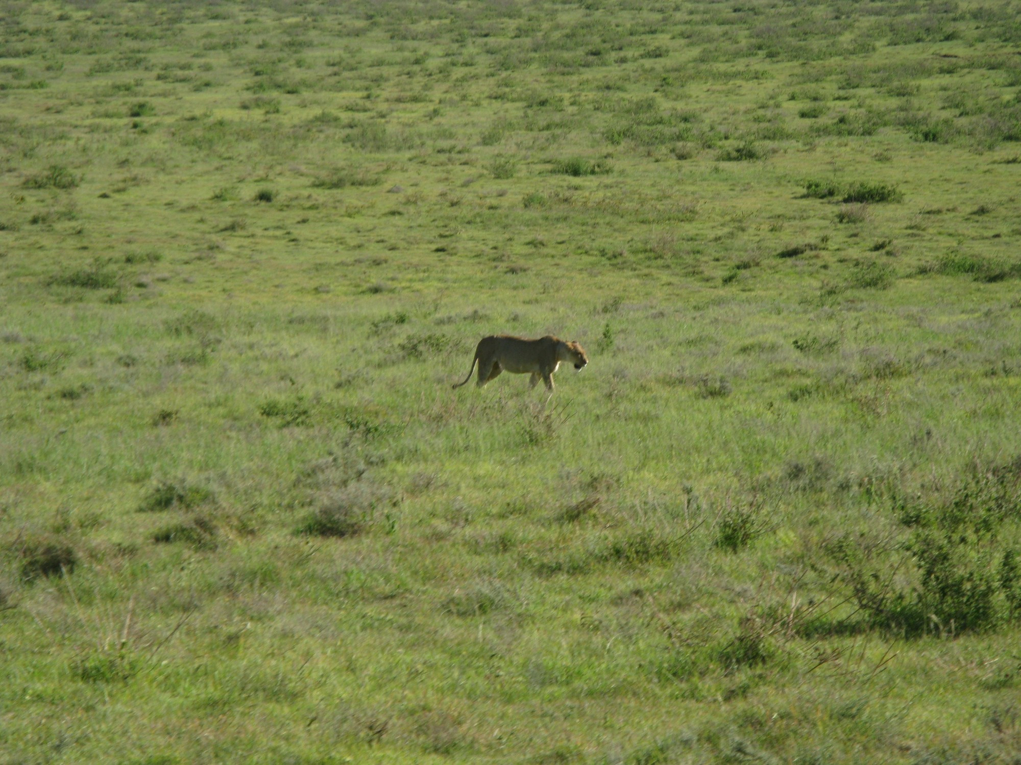 Tanzania