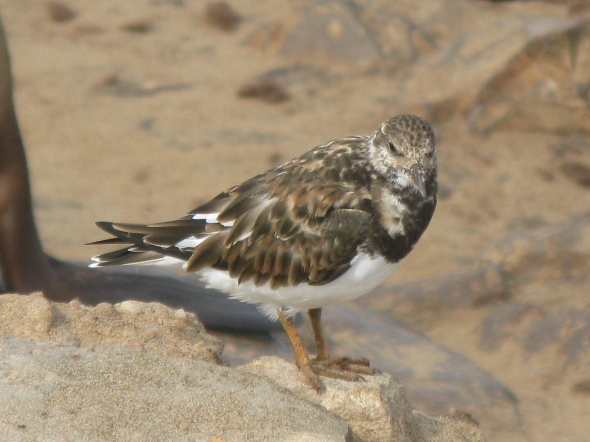 Namibia