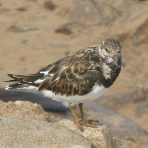 Namibia