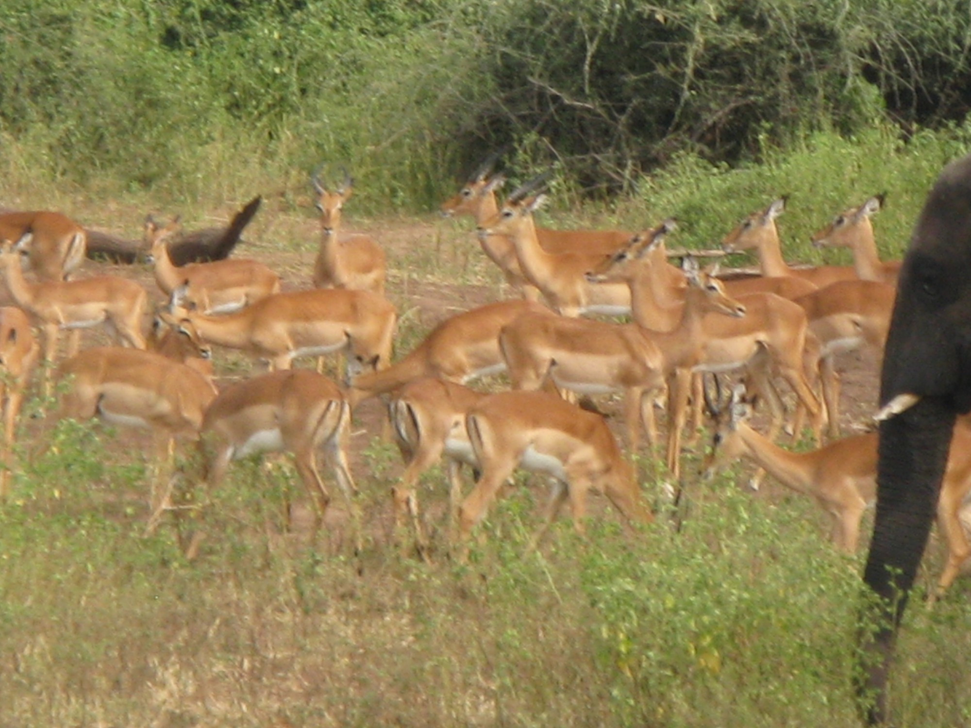 Botswana