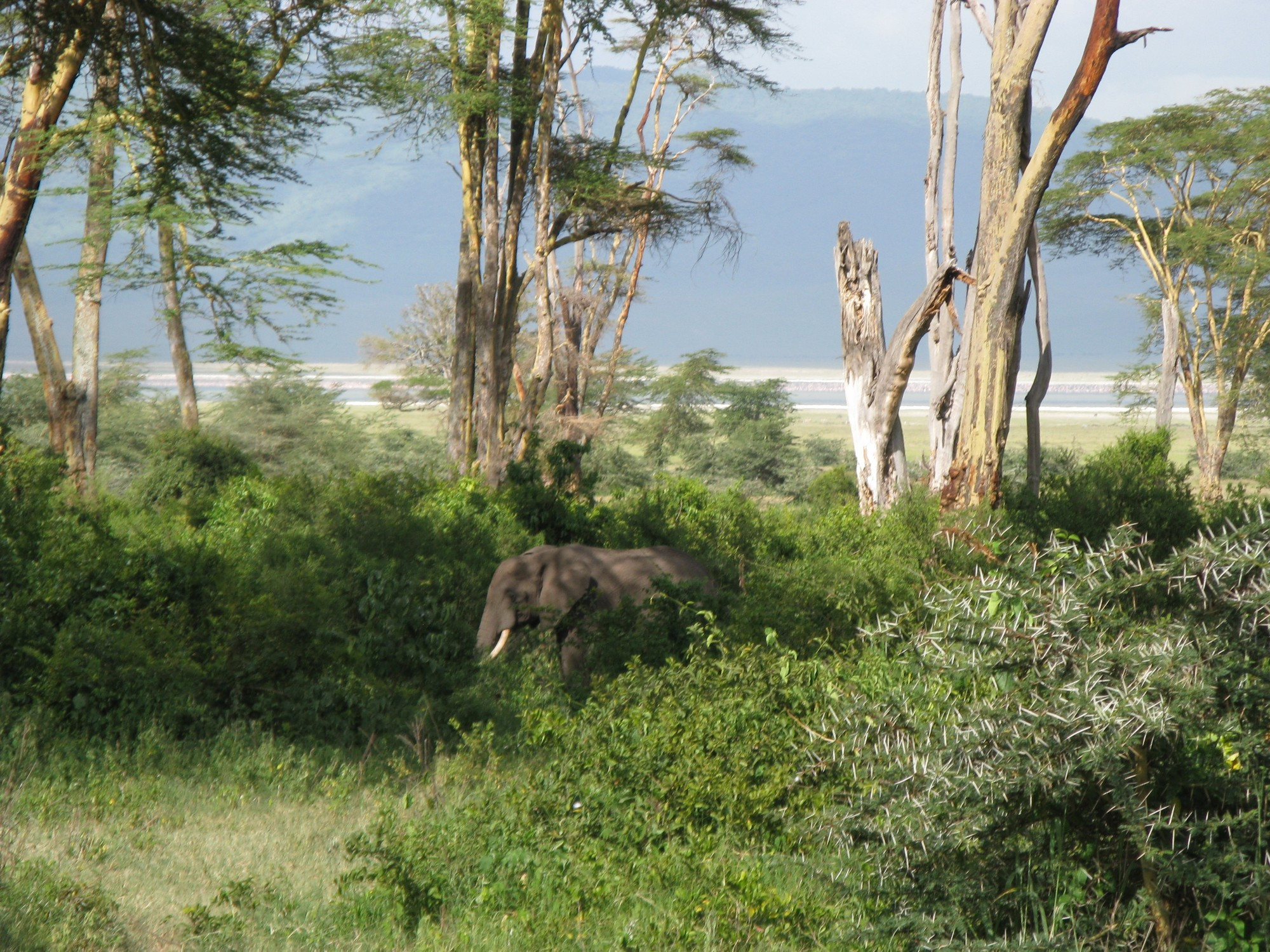 Tanzania