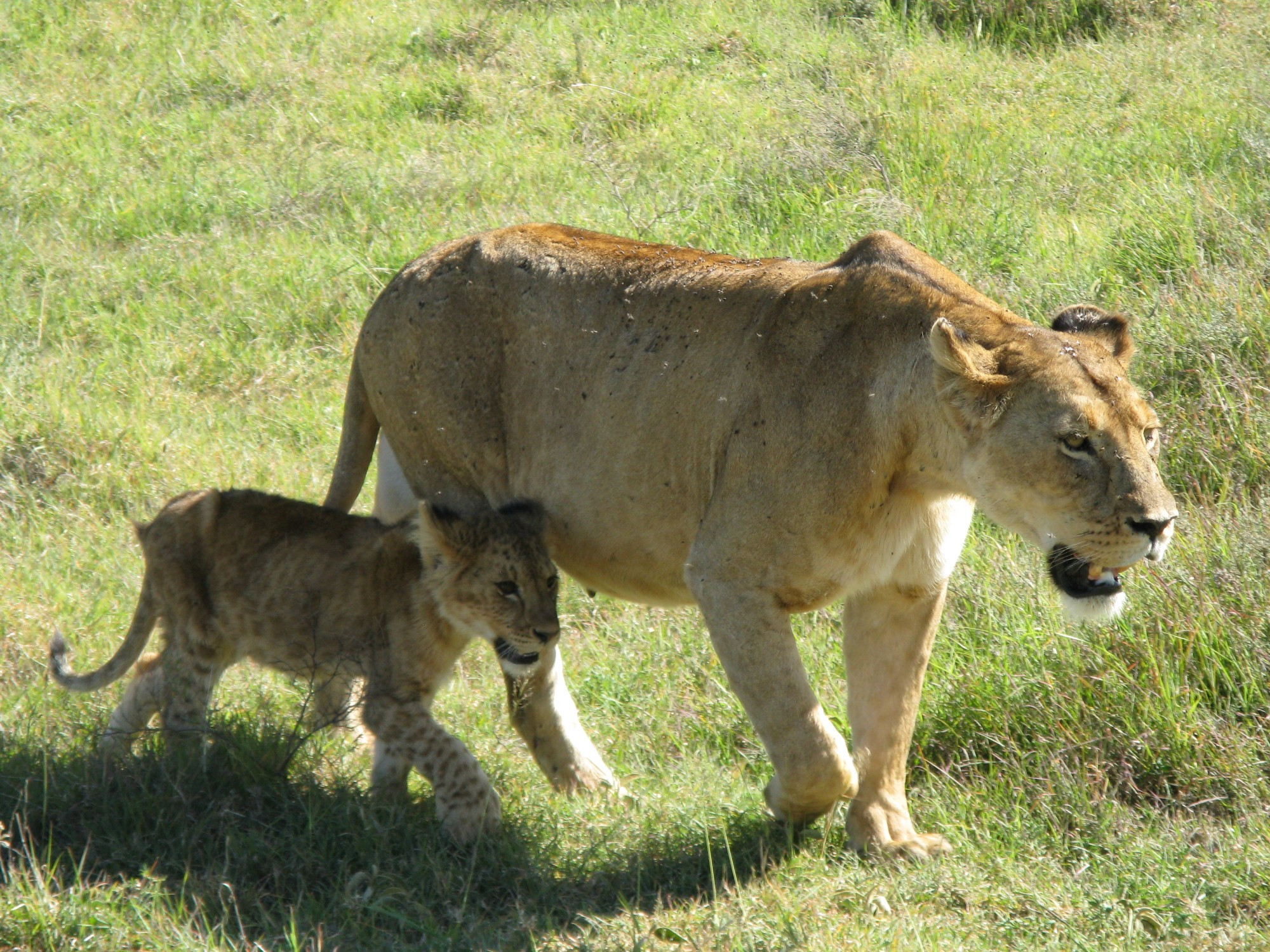 Tanzania