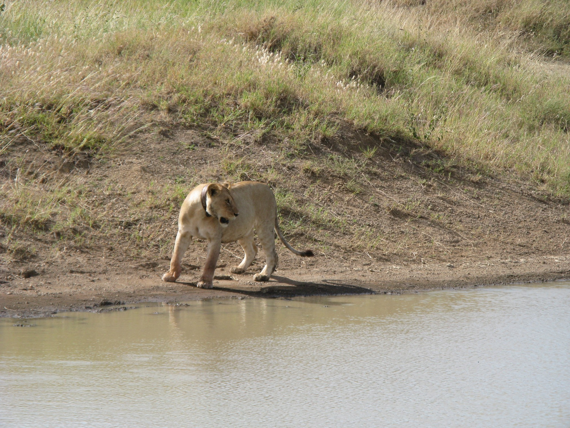 Tanzania