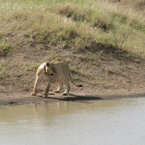 Tanzania