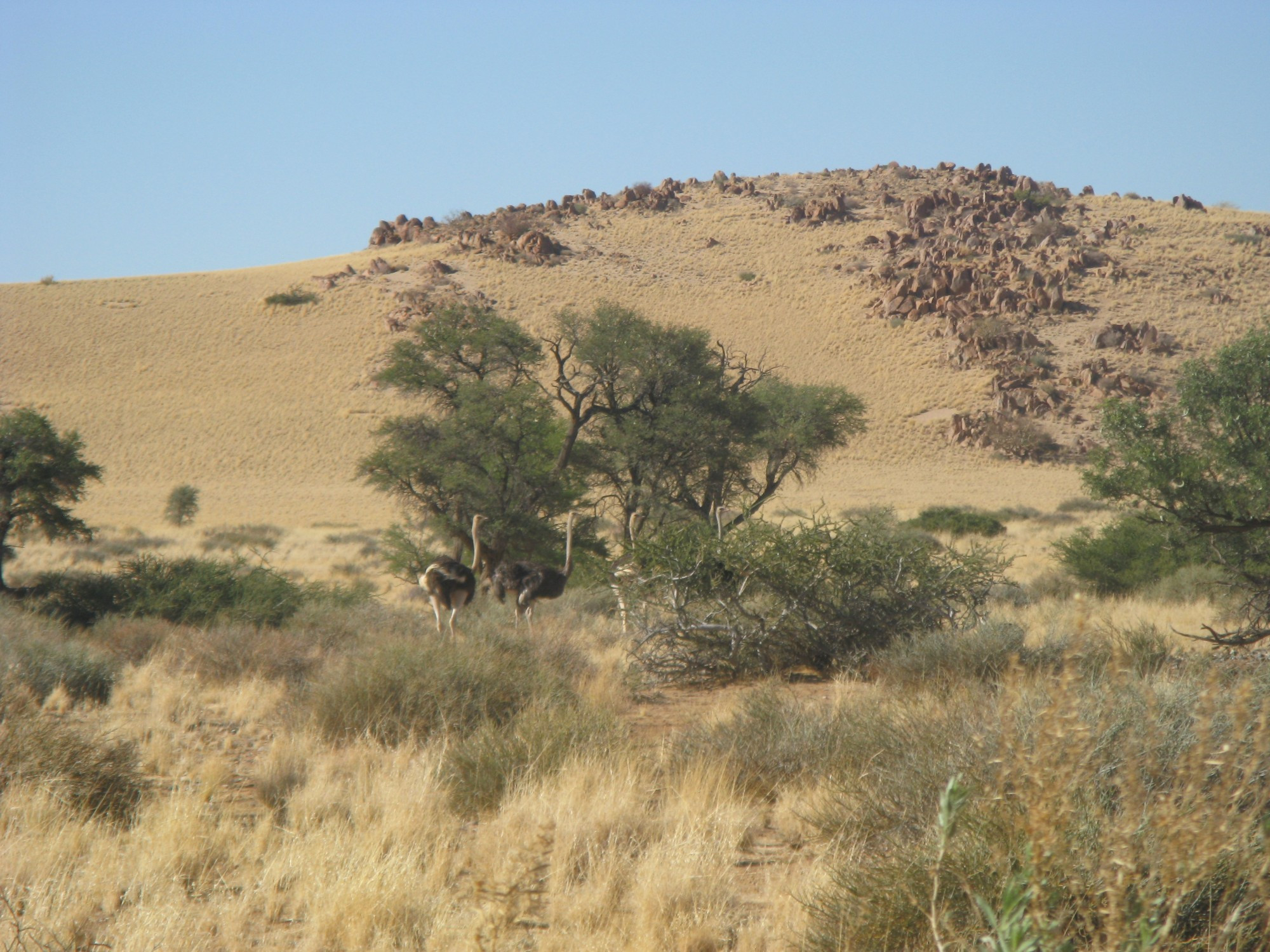 Namibia