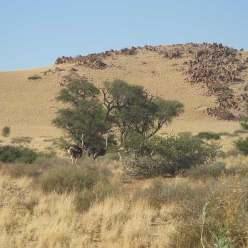 Namibia