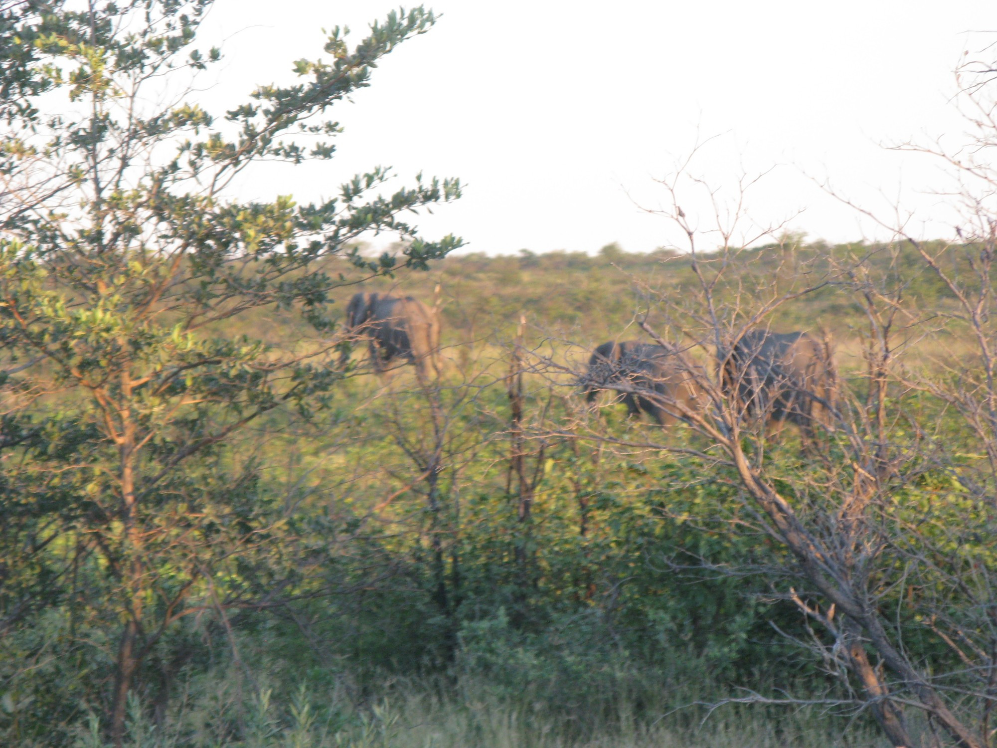 Botswana