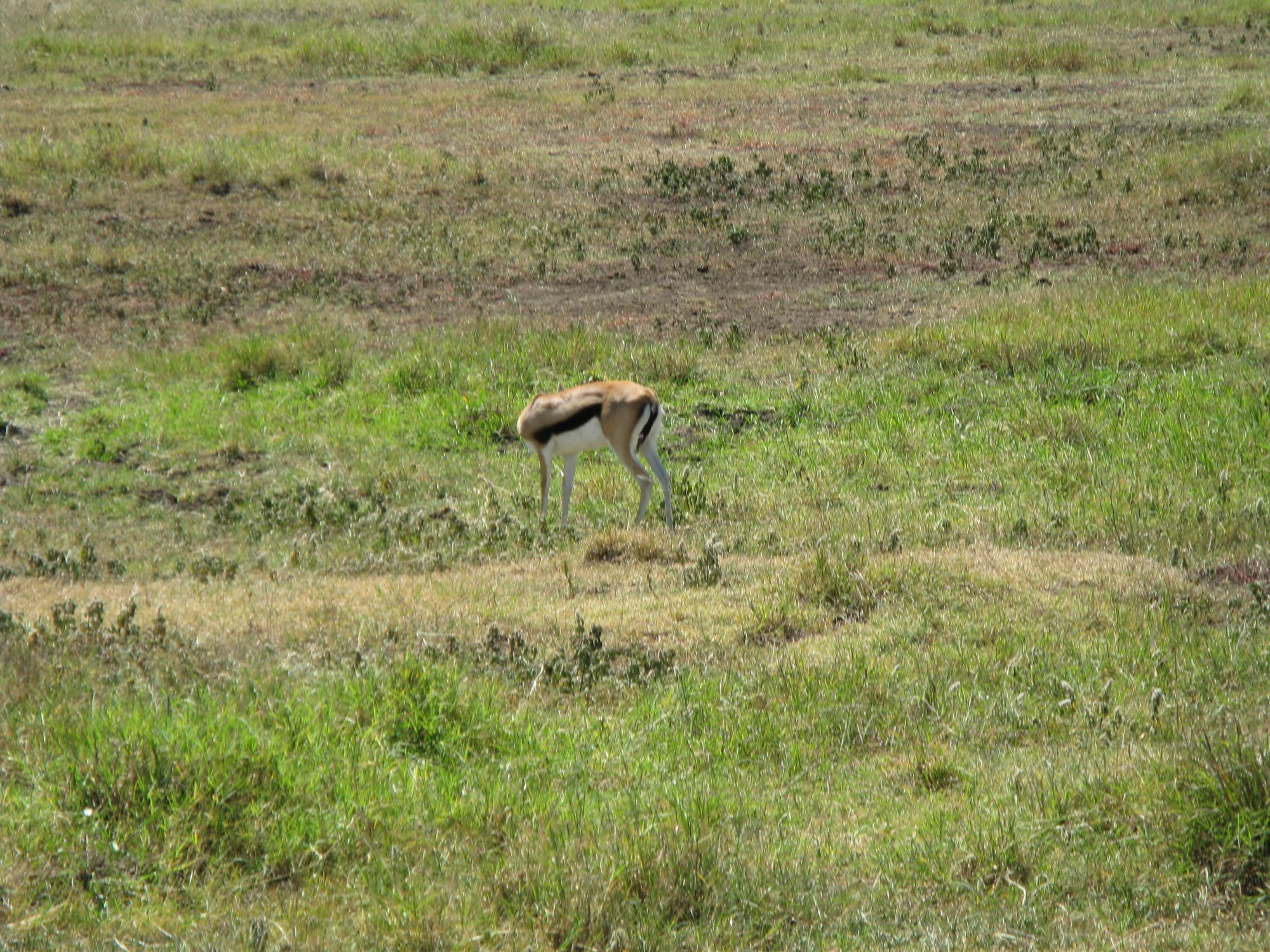 Tanzania