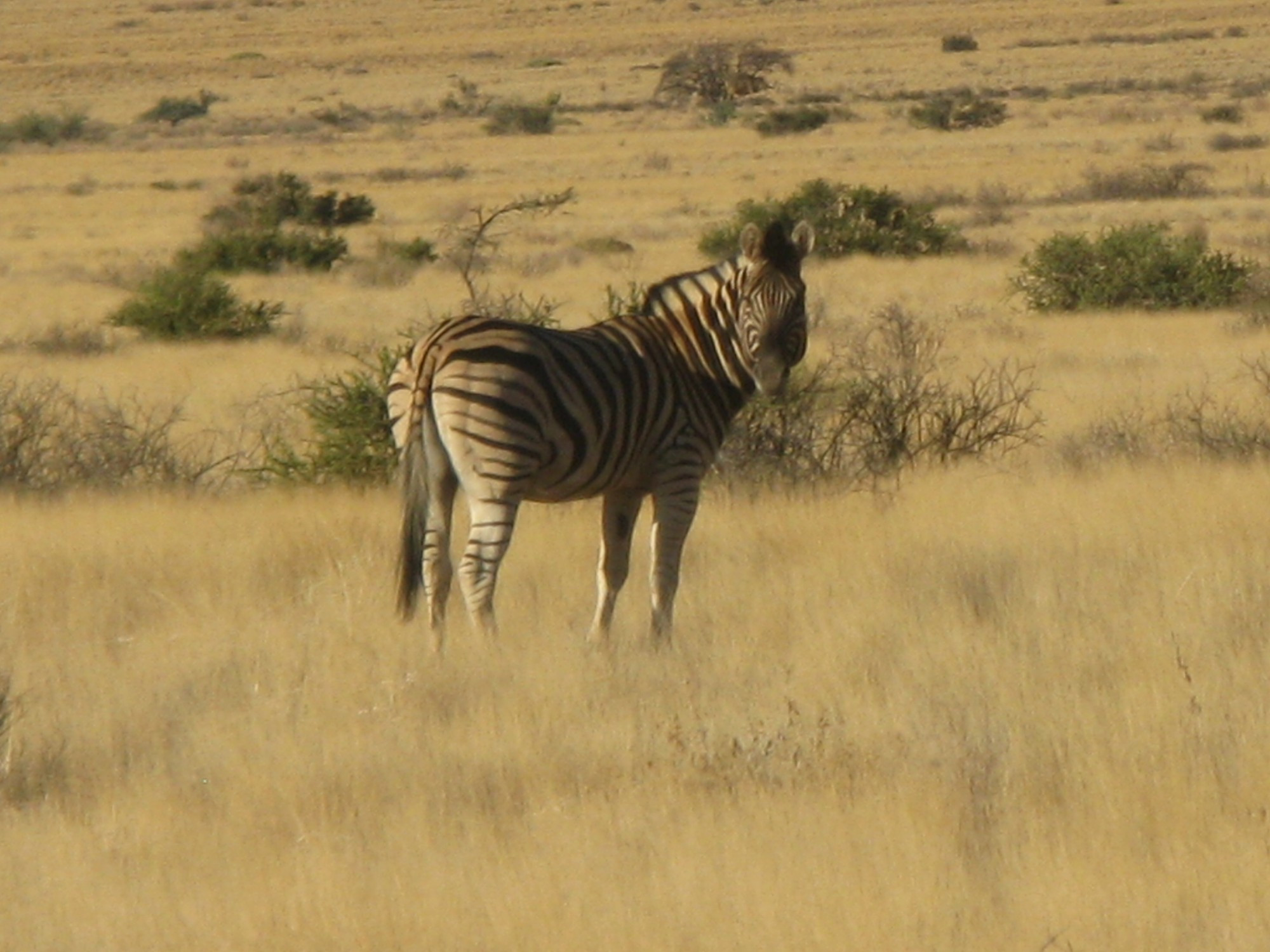 Namibia