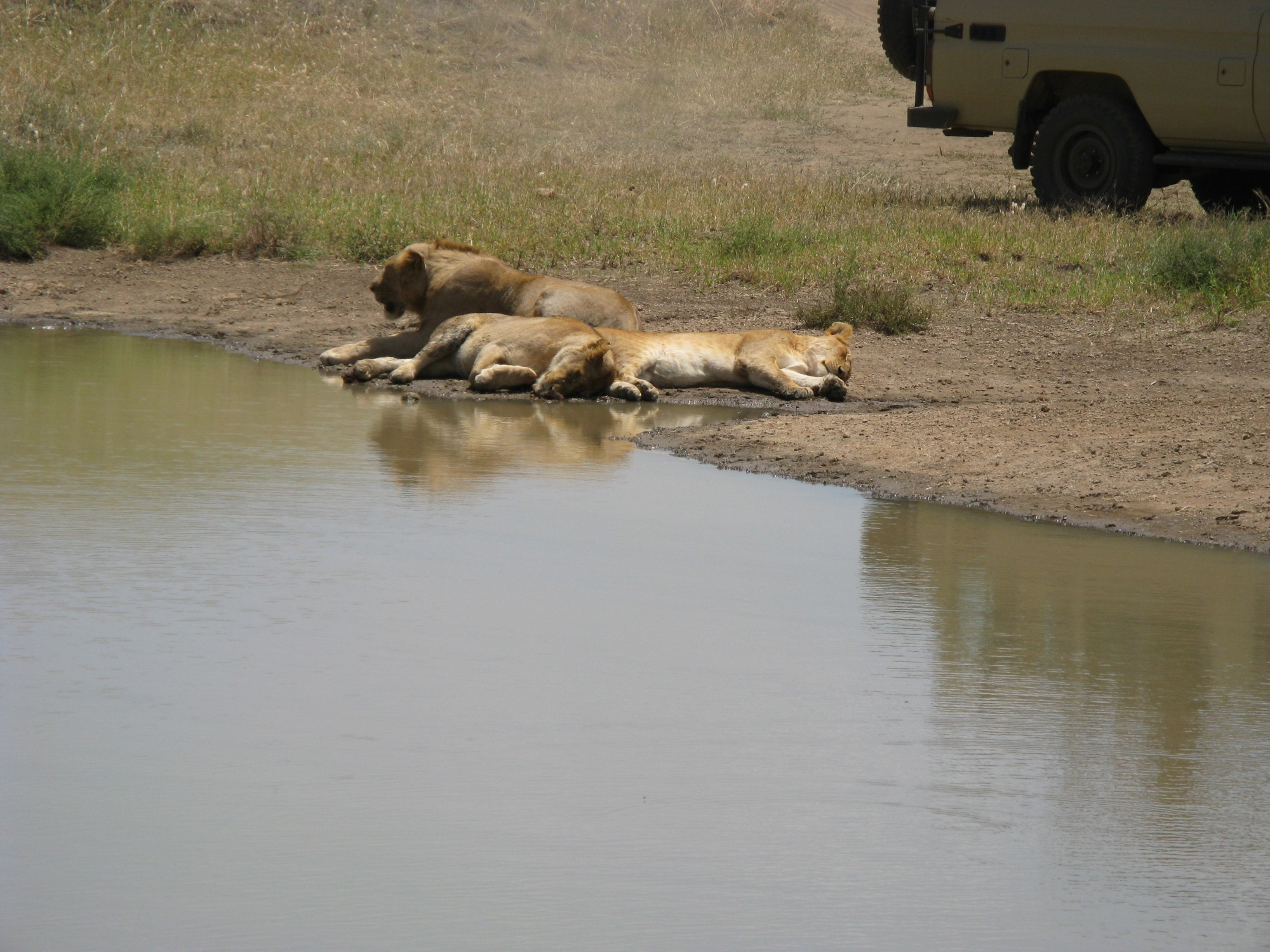 Tanzania