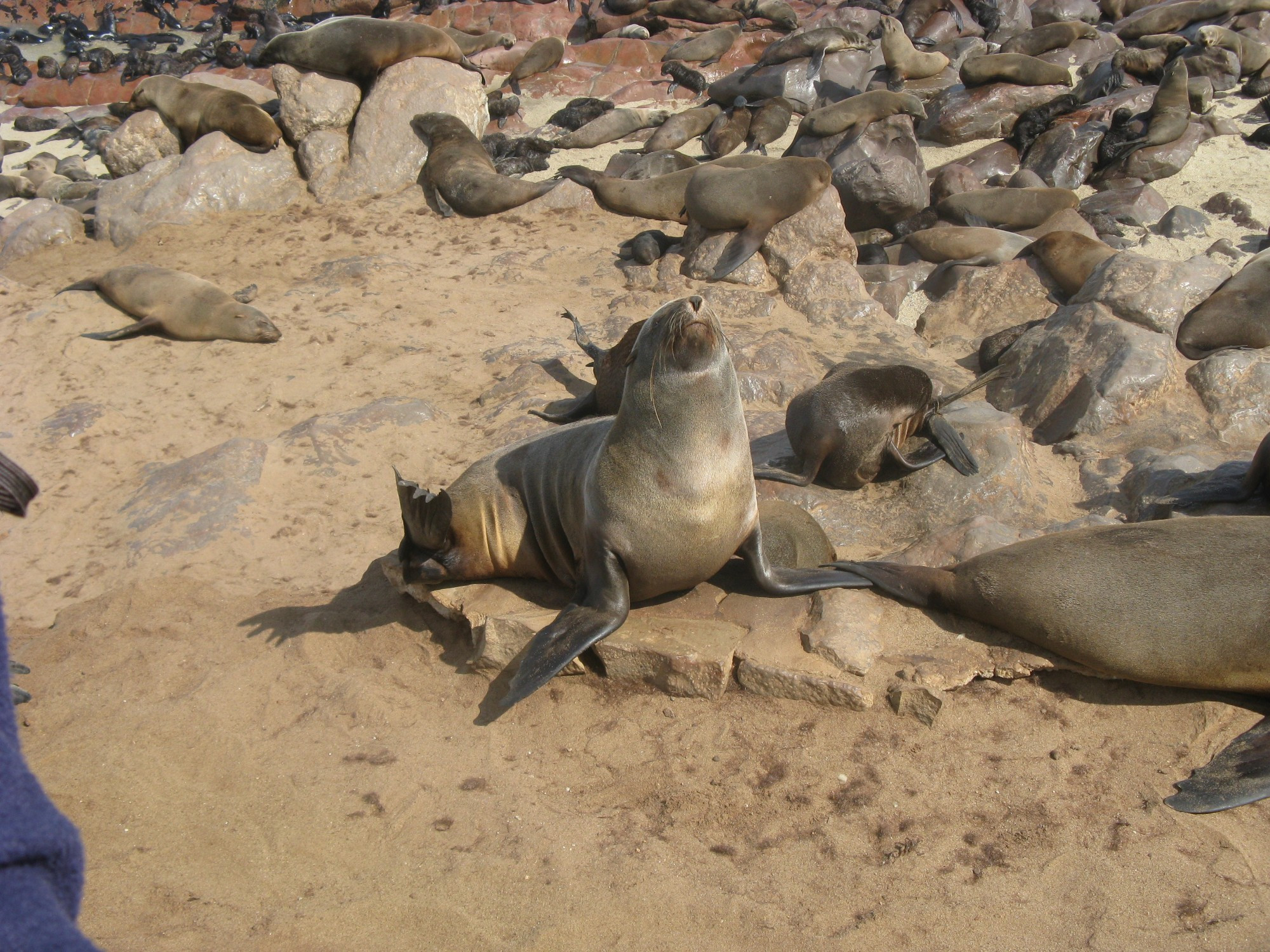 Namibia