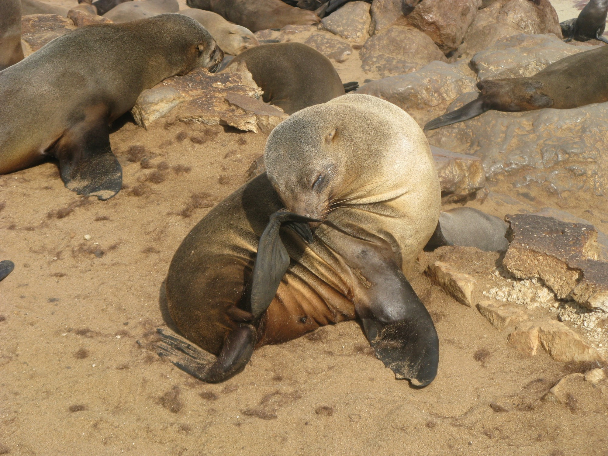 Namibia