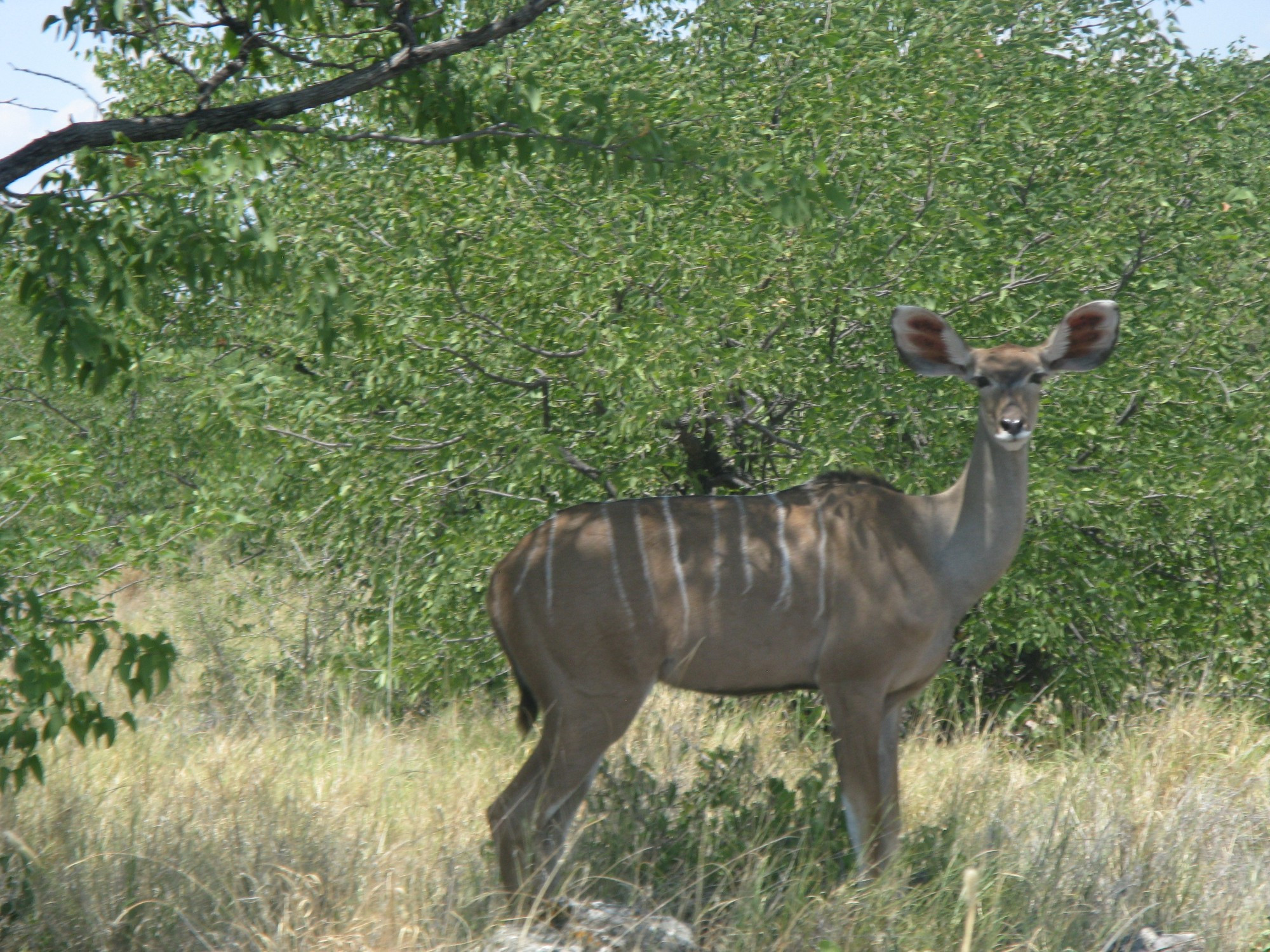 Namibia