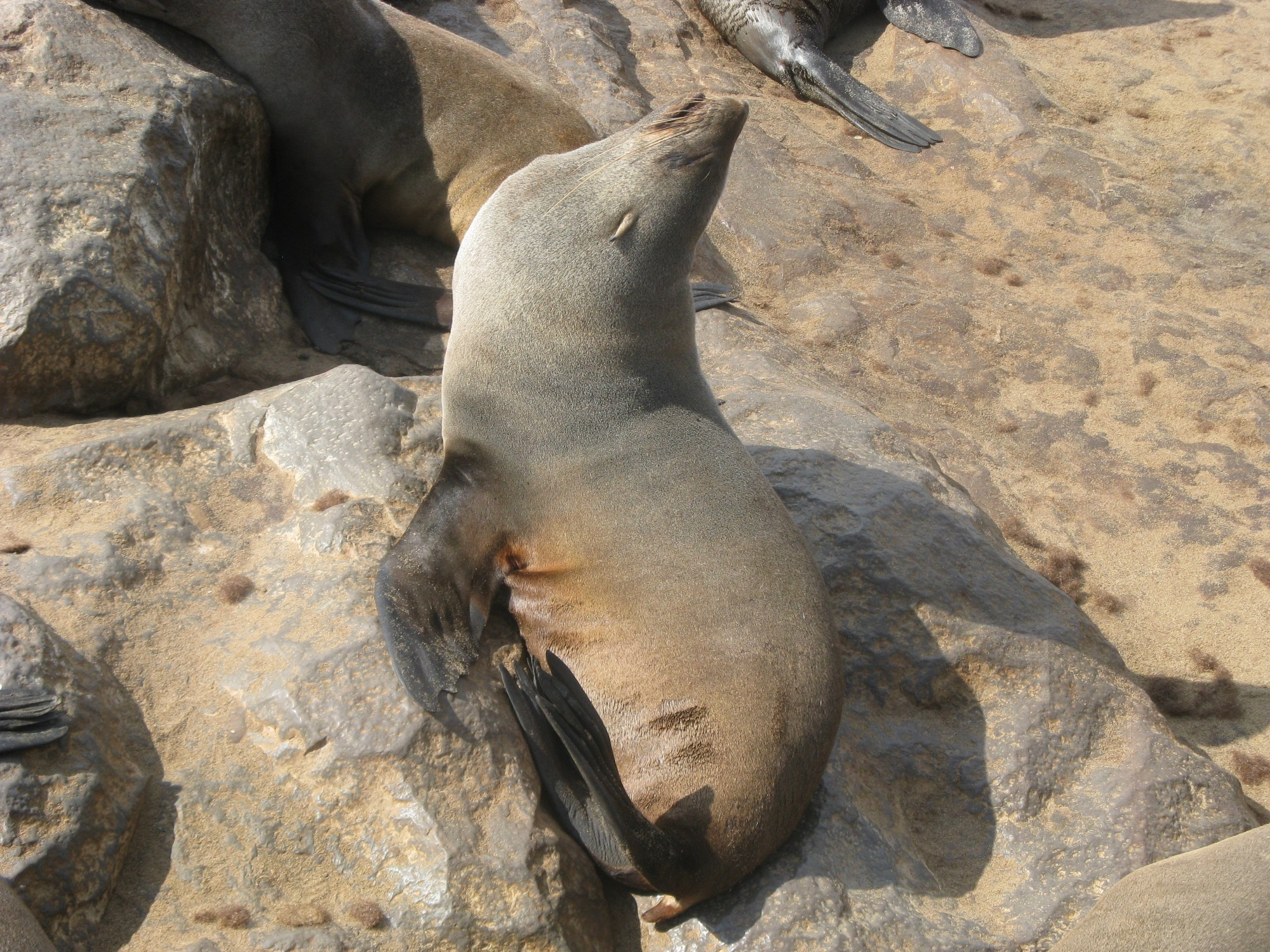 Namibia