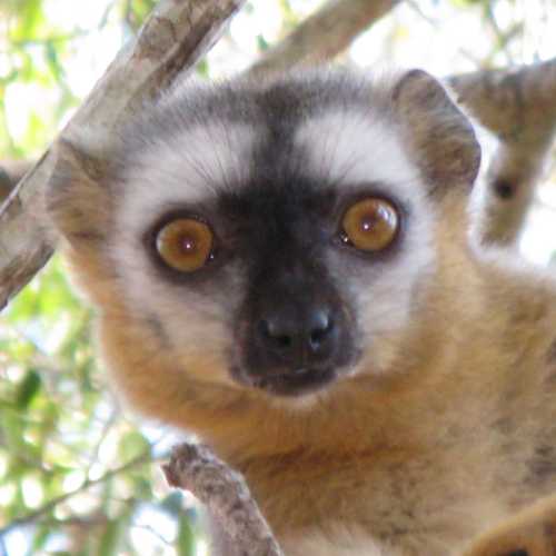 Madagascar