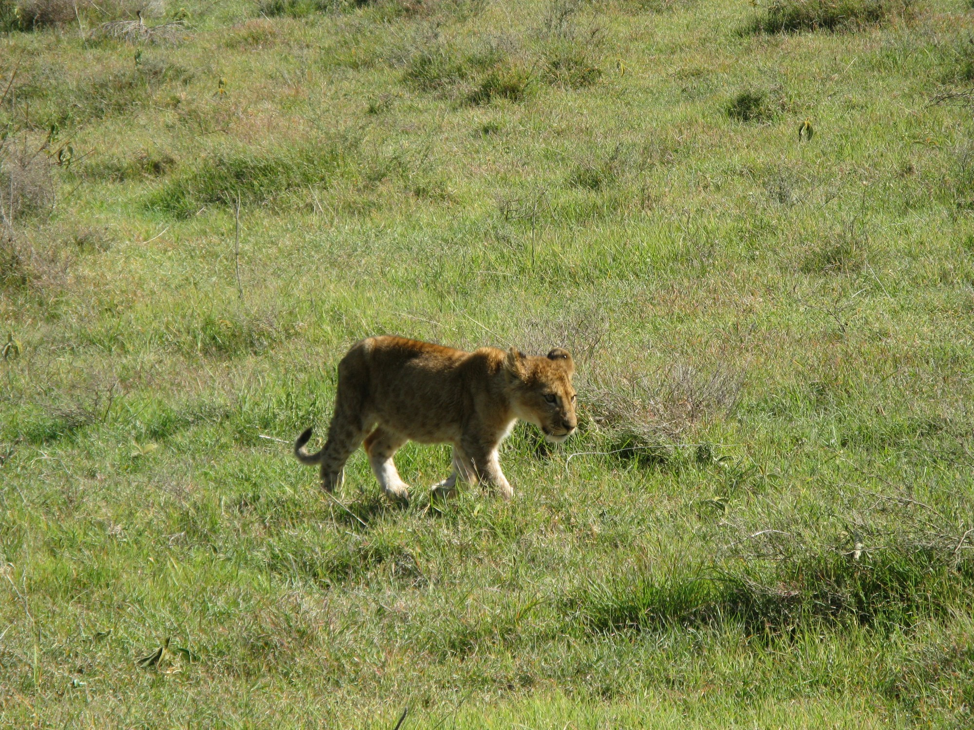 Tanzania