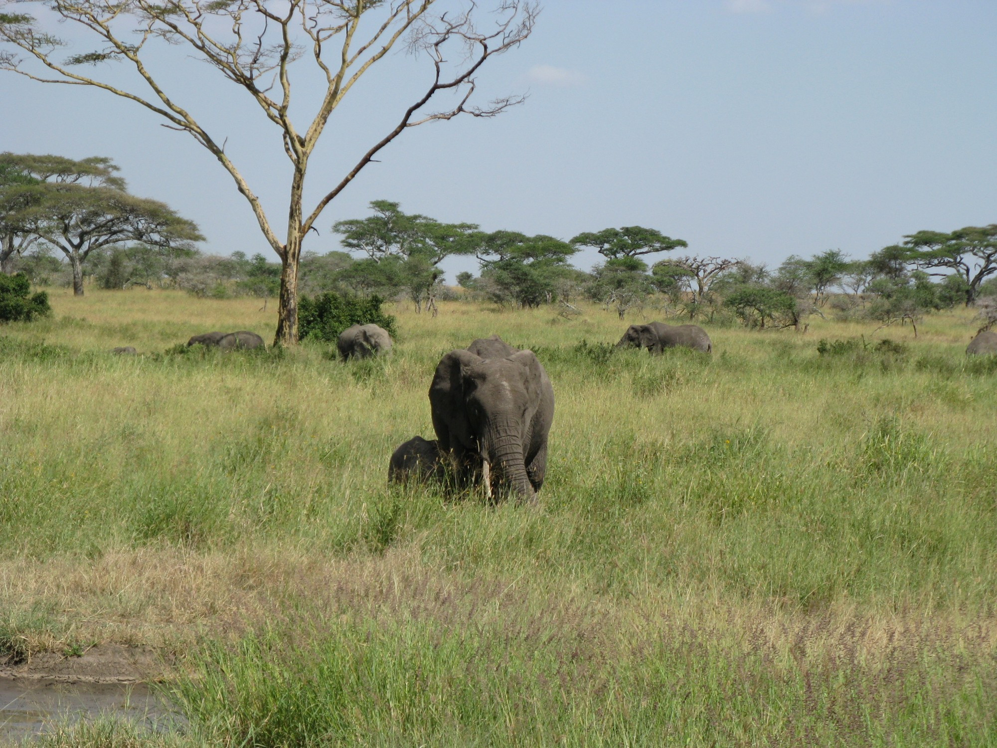 Tanzania