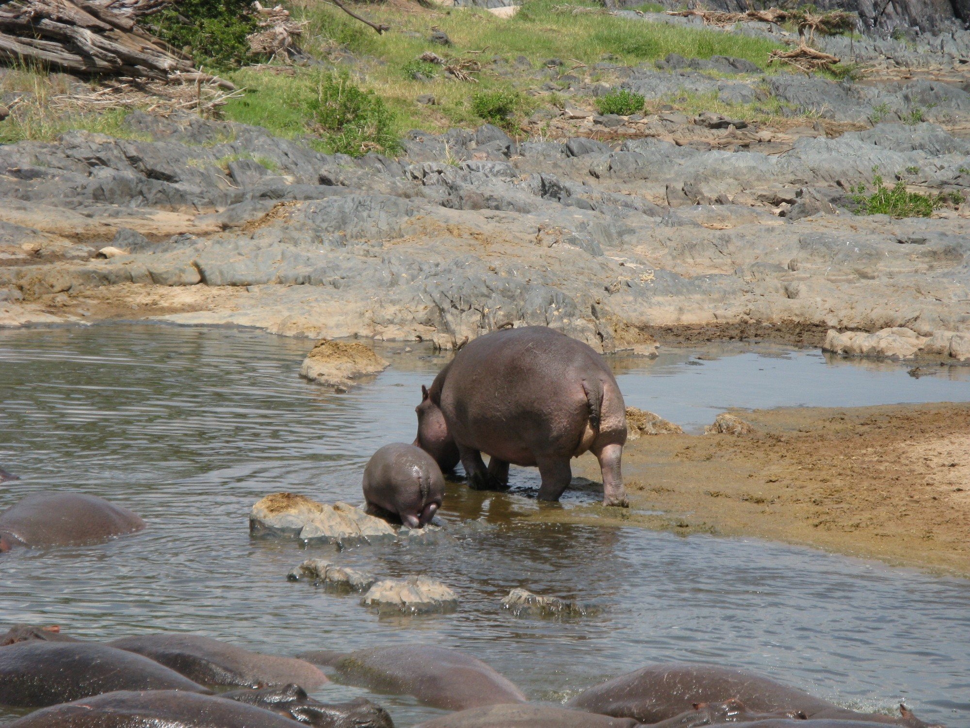 Tanzania